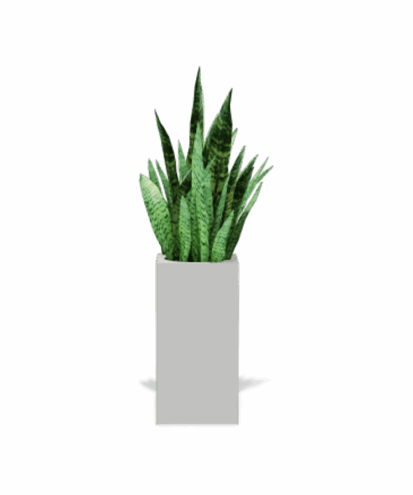 shop-bg-07