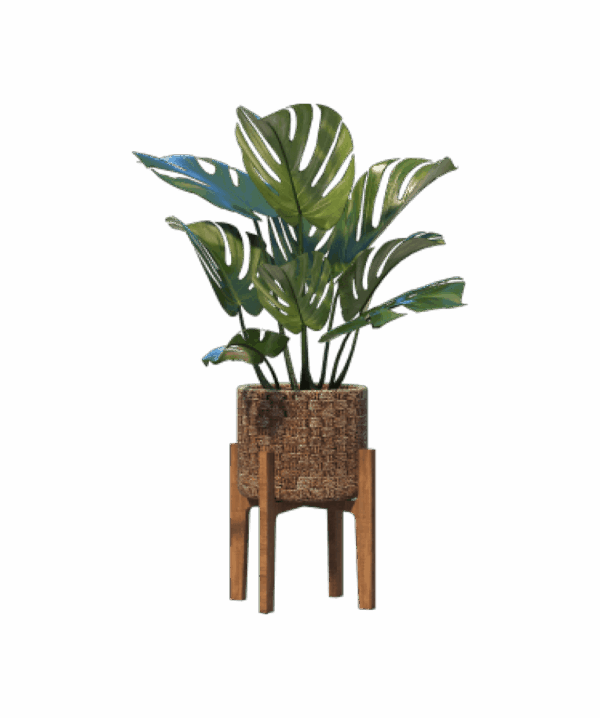 shop-bg-16